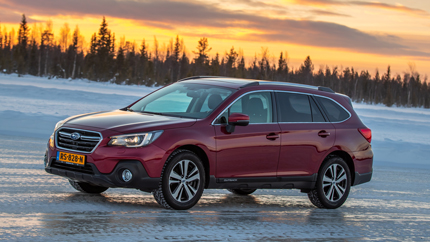 Subaru Outback прошел испытания в лосином тесте