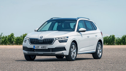 В Россию привезли новый кроссовер Skoda Kamiq