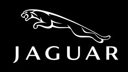 Легче выкупить, чем чинить: Jaguar выкупит почти 3 тысячи электрокаров I-Pace из-за риска возгорания