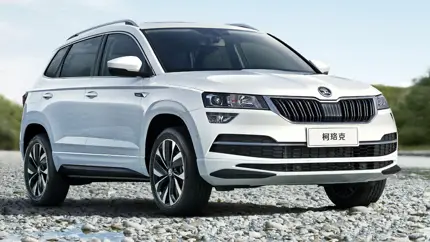 Самый бюджетный кроссовер Skoda привезли на российский рынок