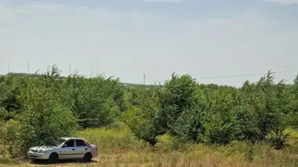 Эти полезные аксессуары пригодятся во время путешествия на машине