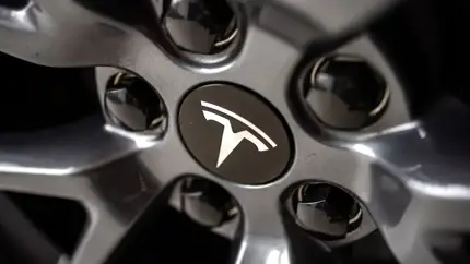 Стало известно о скором выходе первого дешевого электрокара Tesla