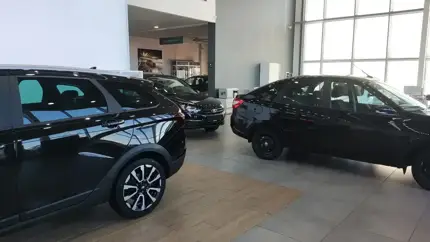 Что будет с авторынком России в ближайшие годы: прогнозы экспертов