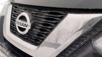 В России обнаружили дособранные на заводе в Санкт-Петербурге Nissan X-Trail и Qashqai