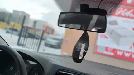 Для чего может пригодиться крахмал в автомобиле: 4 оригинальных способа применения