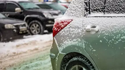 Кошачий наполнитель как способ не забуксовать на льду: несколько советов, чтобы выбраться из колеи