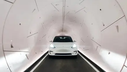 Тоннели Tesla вместо пляжей: Маск нацелился на сердце Майами-Бич