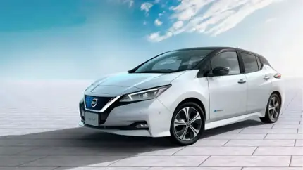 Nissan Leaf уверенно обошел Skoda, Mercedes и Toyota: за него голосовали женщины