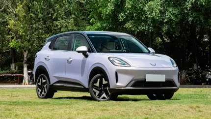 Автогиганты против Пекина: GM и Stellantis разрывают связи с Китаем