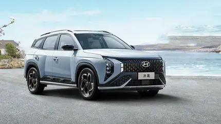 Hyundai Mufasa в России: новый кроссовер по цене «китайца»