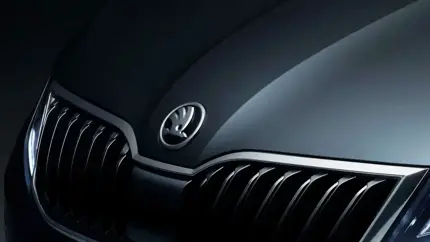 Skoda перезагрузилась в России: зарегистрирован новый товарный знак