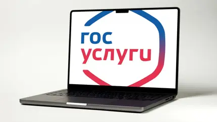 Теперь не забудешь: «Госуслуги» напомнят об ОСАГО во избежание штрафов