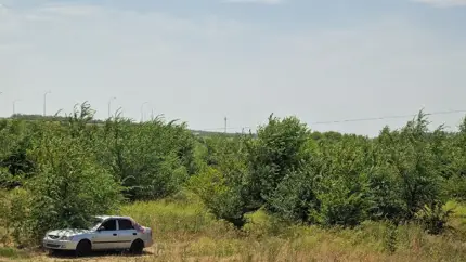 В горы, к морю, в глушь: как подготовить автомобиль к дальнему путешествию?