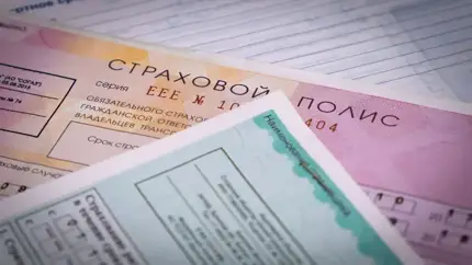 Автогражданская ответственность набирает силу: количество полисов ОСАГО бьет рекорды