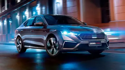 В РФ начались продажи новых  Skoda Octavia Pro: названа цена