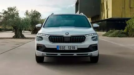 В РФ приехали новые кроссоверы Skoda Kamiq: сколько они стоят?