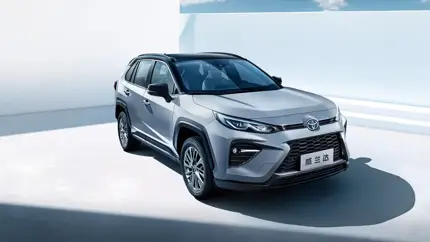 Есть ли разница между китайскими машинами Kia, Toyota, Honda и оригинальными