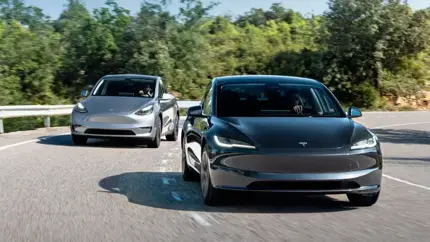 Tesla покорила сердца корейской молодежи: авто бренда стали хитом молодого поколения