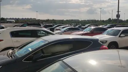 Лошадиная сила под налогом: как изменится рынок авто из-за нового утильсбора