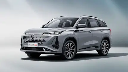 Belgee празднует, Changan льет слезы: российский авторынок подвел итоги года