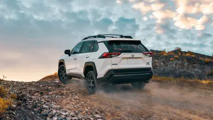Toyota бьёт тревогу: глава заявил о риске выживания компании