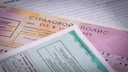 В РФ начались продажи общих полисов ОСАГО для России и Белоруссии