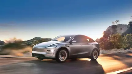 Два года стабильности — и вот: Tesla Model Y подорожала