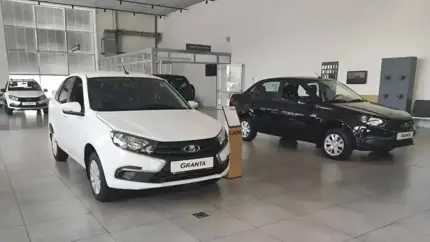 Модели Lada могут появиться в продаже на Wildberries