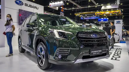 BMW низко пала: компания уступила место нишевому бренду в Америке