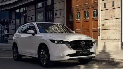 Есть из чего выбрать: названы самые популярные авто для «серого» импорта