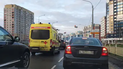 Решил разрисовать машину - получил штраф: как нельзя украшать автомобили в России