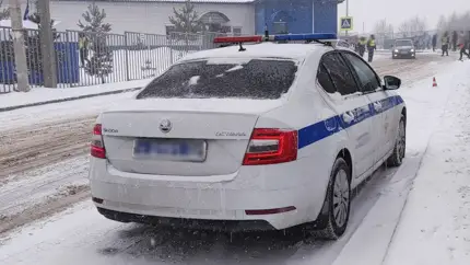 Жители РФ стали массово получать штрафы за слишком новогодние авто