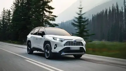 Названы самые популярные авто у россиян: их покупают чаще всего