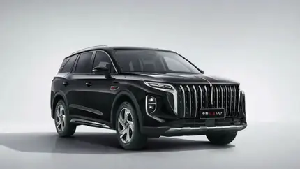 Hongqi и ГАИ: что кроется за проблемами с регистрацией машин в РФ