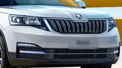 В РФ появился надежный кроссовер Skoda с неубиваемым мотором