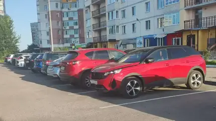 В РФ может появиться возможность бесплатно парковаться рядом с объектами инфраструктуры