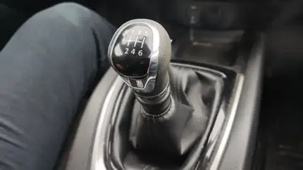 Вымирающий вид: эти новые авто еще можно найти с «механикой» на глобальном рынке