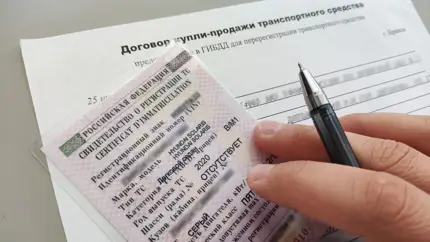 Сколько есть дней для постановки автомобиля на учёт: в ГИБДД всё рассказали
