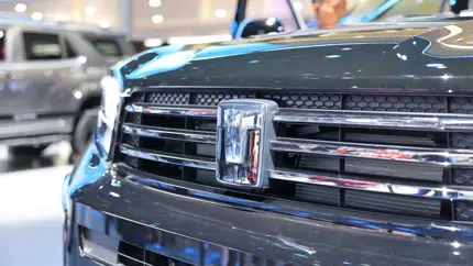 Названы самые популярные автобренды в России