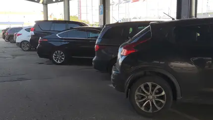 Какие типы кузова автомобилей выбирают россияне: статистика за 2024 год
