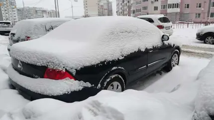 Как правильно выехать из сугроба: автоэксперты всё рассказали