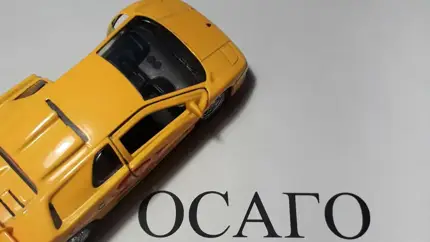 Как расширение ОСАГО на Белоруссию скажется на стоимости полиса в РФ: есть ответ