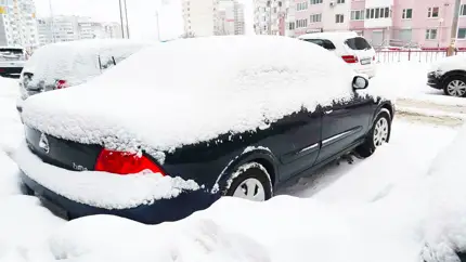 Зимой не замерзнешь: названы автомобили в РФ с самыми важными «теплыми» опциями