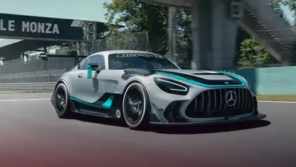 Только для треков: дебютировал новый Mercedes-AMG GT2 Edition W16