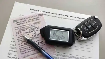 Через Госуслуги теперь можно покупать и оплачивать машины