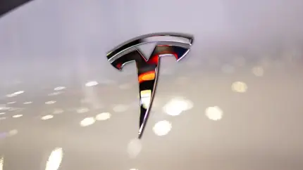 Tesla запустит роботакси для людей с ограниченными возможностями