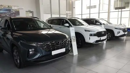 Автодилеры начали увольнять сотрудников - в чем причина