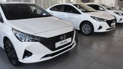 Историю каких автомобилей россияне чаще всего проверяют онлайн - есть ответ