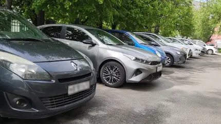 Эксперт объяснил, как обычная пыльца способна испортить автомобиль