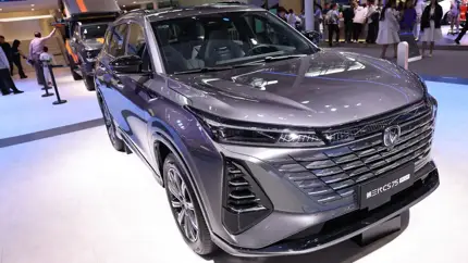 Названа страна-мировой лидер по продажам новых авто: итоги июля